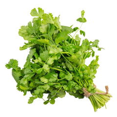 Coriander