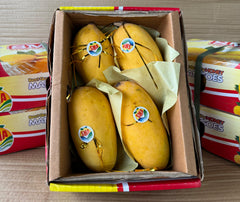 Pakistani Sindhiri Mango
