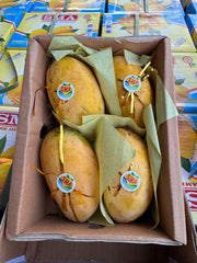 Pakistani Chaunsa Mango