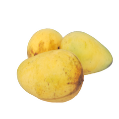 Bali Mango